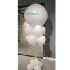 Printed Paddle Balloons