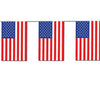 USA Bunting