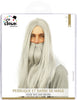 Wig - Wizard wig and beard