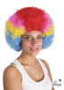 Clown - Multicoloured Wig