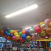 12ft balloon release net