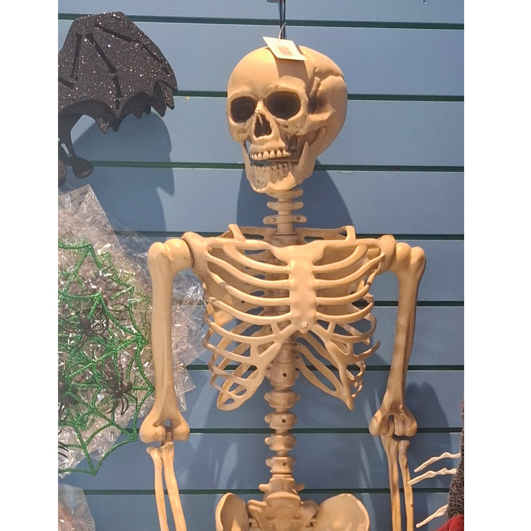 Halloween: Hanging Skeleton 165cm