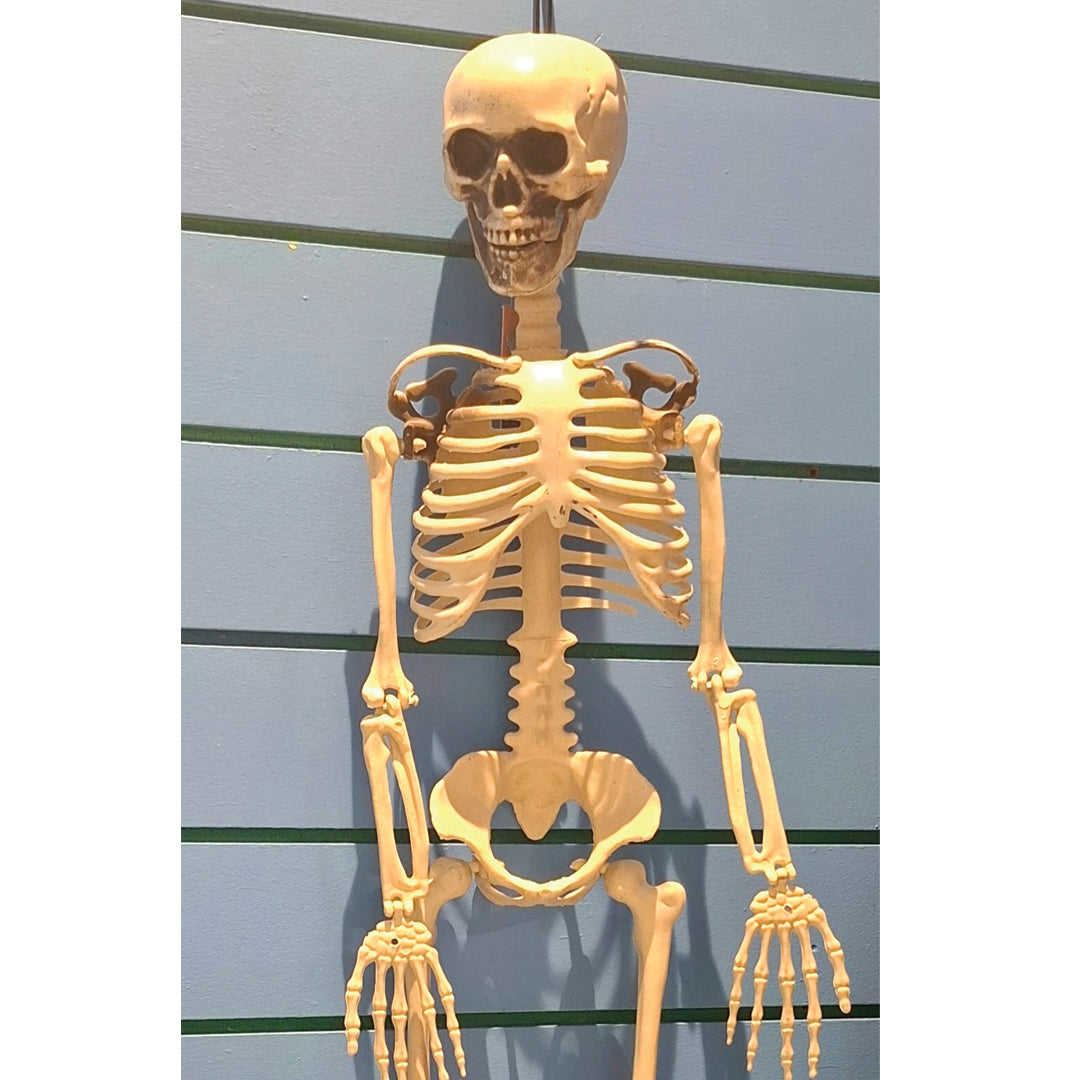 Halloween: Skeleton Decoration (Small)