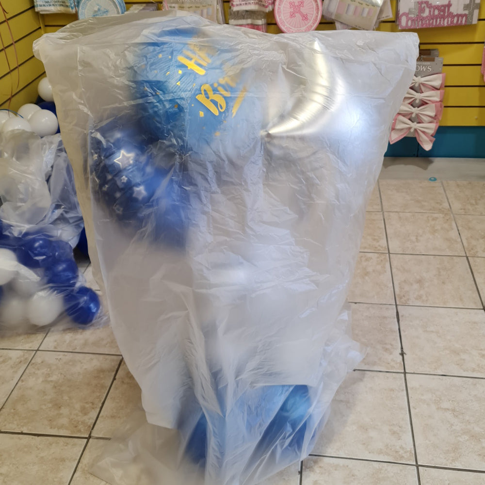 Large balloon transport bag