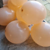 Blush Balloons - E102 Bag Of 50 Eire Pastel Balloons