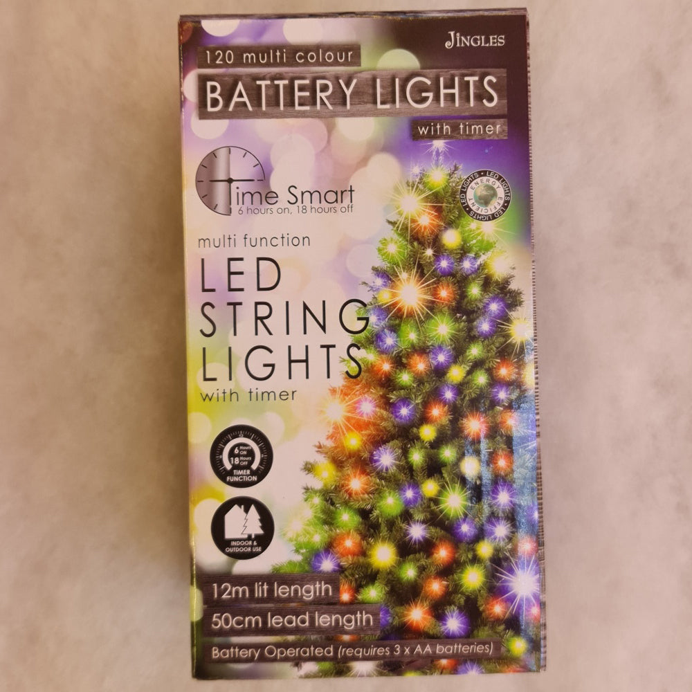 Battery Christmas lights - set of 120 Multi Colour