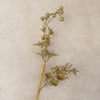 Decorative Lily & Berries - 65cm Length