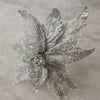 Silver Poinsettia