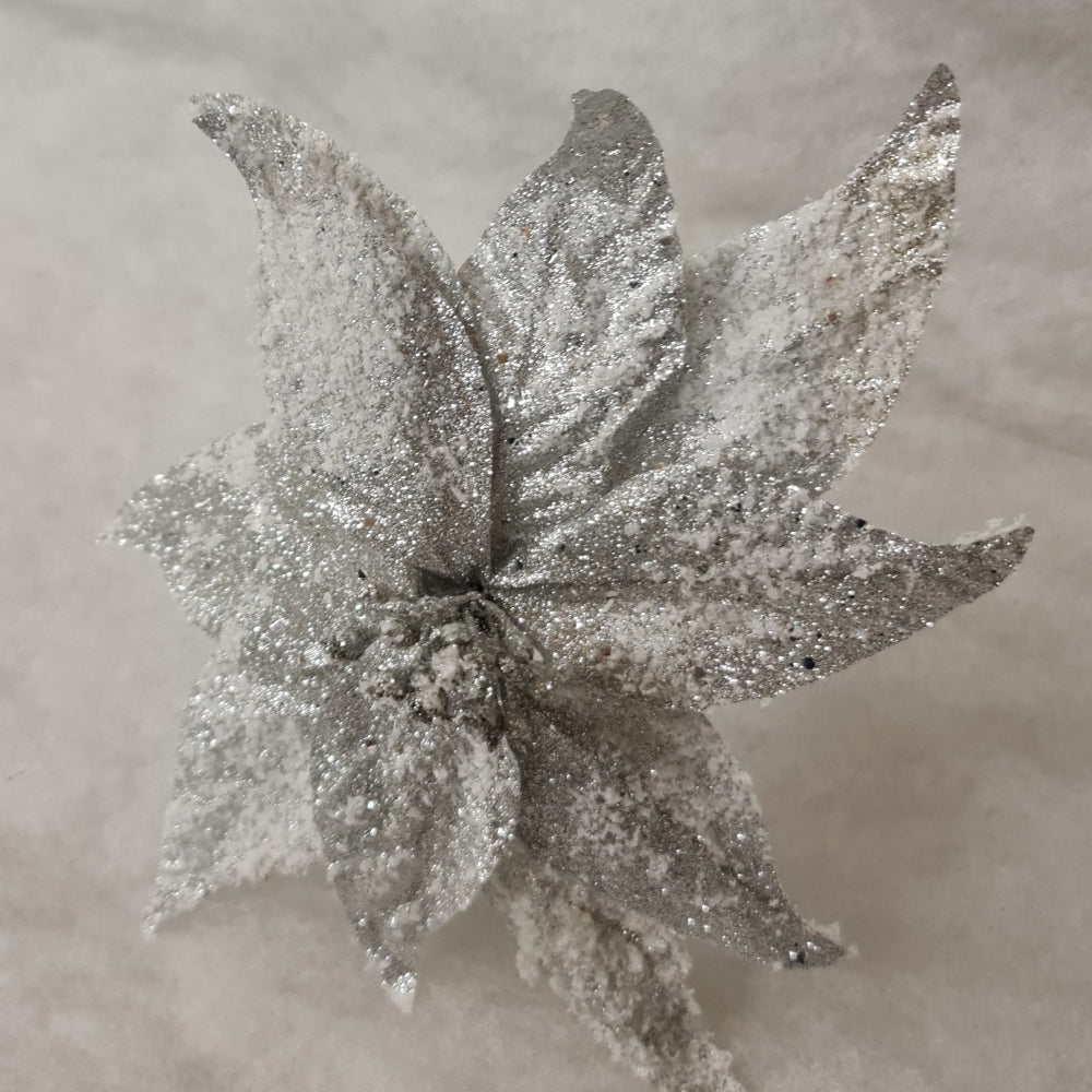 Silver Poinsettia