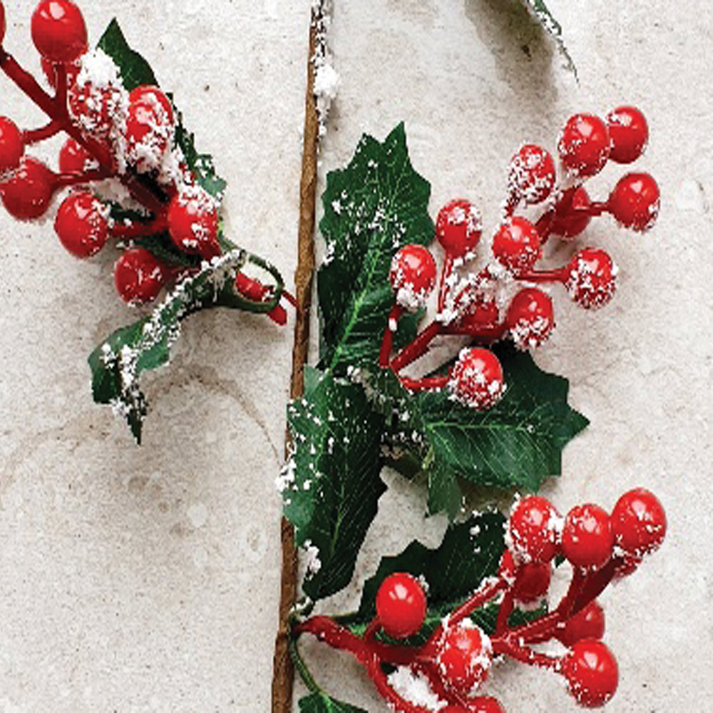 Snowy Holly Berry