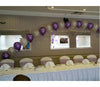 Balloon Party Package 250