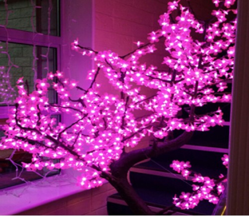 1.8 M Pink Blossom Tree